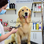 بهترین آرایشگاه حیوانات خانگی| دامپزشکی کارو شهرک غرب