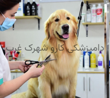 بهترین آرایشگاه حیوانات خانگی| دامپزشکی کارو شهرک غرب
