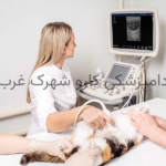 چکاپ تخصصی|دامپزشکی کارو شهرک غرب