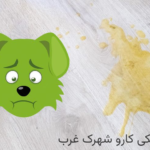 استفراغ صبحگاهی