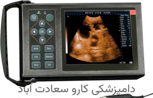 کلینیک دامپزشکی کارو در سعادت آباد مجهز ترین دامپزشکی غرب تهران