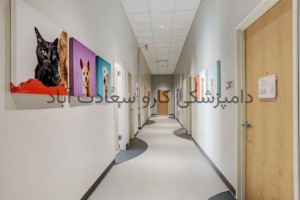 کلینیک دامپزشکی کارو در سعادت آباد مجهز ترین دامپزشکی غرب تهران