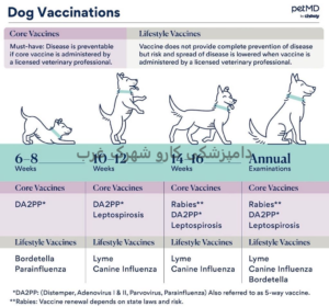 دامپزشکی کارو شهرک غرب